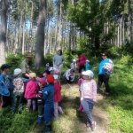 phoca_thumb_m_vp -3. den 106 Fotogalerie